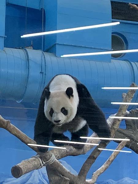 台北二日遊 20231025 第一天 台北二日遊 20231025 第一天