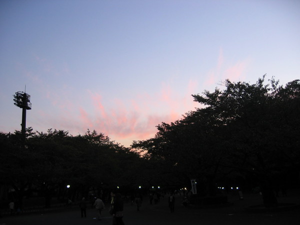 上野公園的落日黃昏