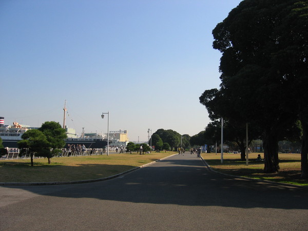 公園內部的小景