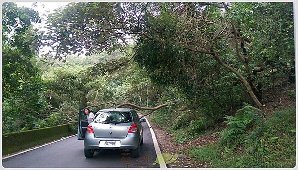 單車路線 風中劍 風櫃嘴 中社路 劍南路6.jpg