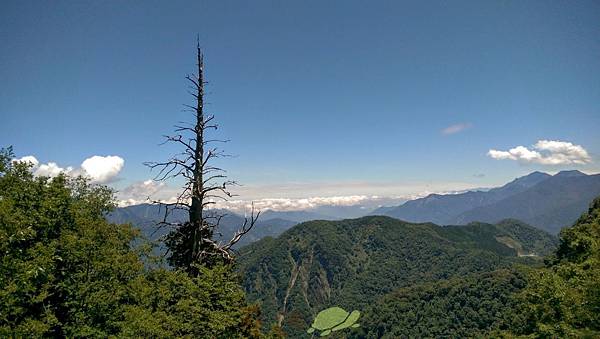 中央山脈極限挑戰216.jpg