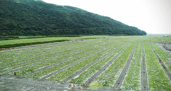 中央山脈極限挑戰59.jpg