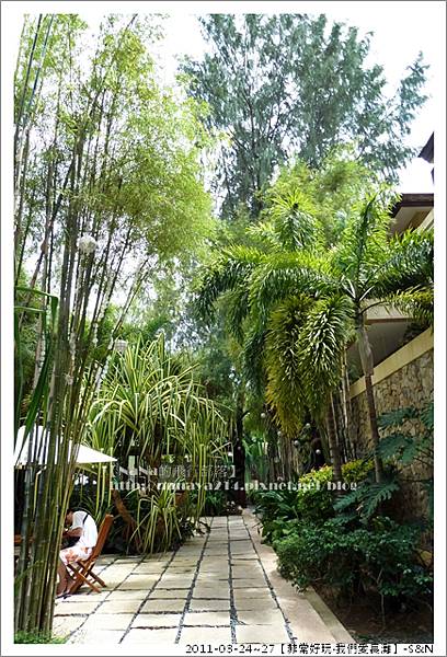 多虧了這片竹林，讓飯店很蔭涼很寧靜，不過唯一的缺點是蚊子比較多一些...