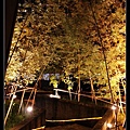 IMG_6726.jpg