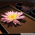 IMG_8639.jpg