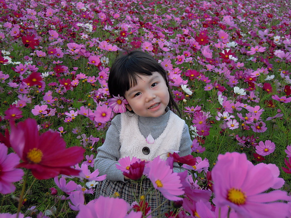 DSCN5690.JPG DSCN5690.JPG