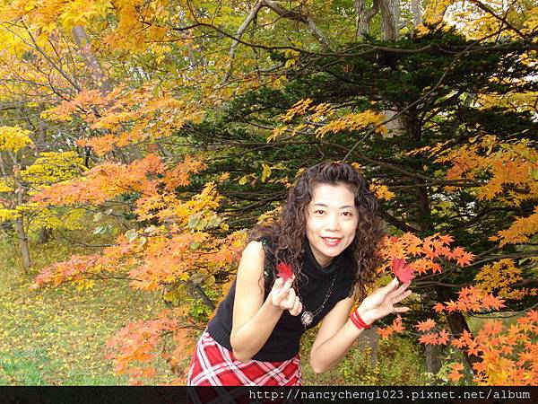 【日本北海道】已成絕響 SL函館大沼號前進大沼公園