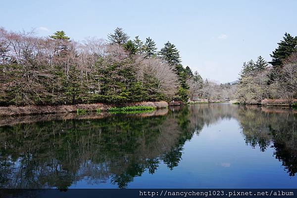 20140427.2 天鵝湖美稱的雲湯池,初夏翠綠,深秋楓紅,可惜春天無櫻.JPG