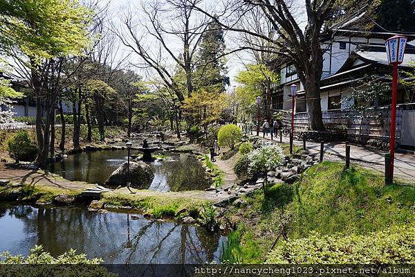 20140429.28 綠意盎然的盛岡城跡公園.JPG