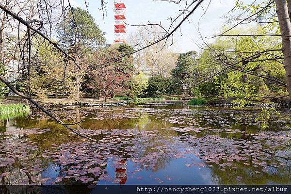 20140506.21 北海道廳的庭院,市中心的世外桃源.JPG