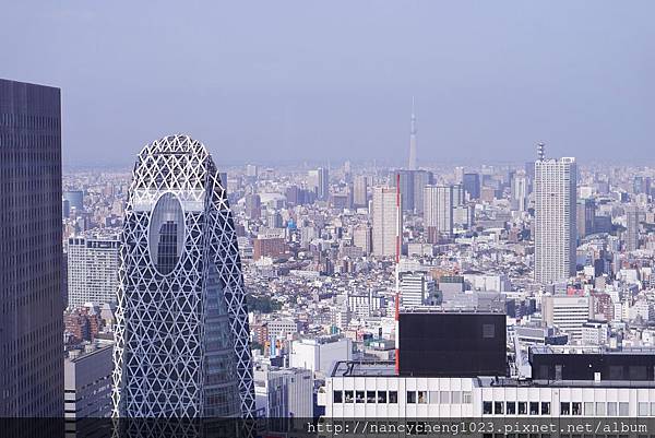 20180527.29 skytree在朦朧的霧氣中.JPG