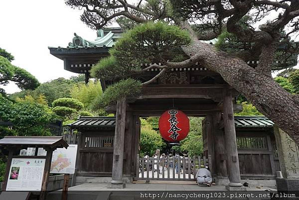 20180528.53 長谷寺.JPG