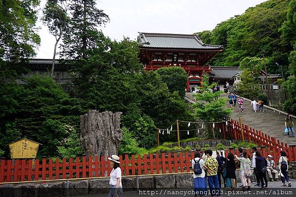 20180528.101鶴岡八幡宮，走了一整天，看到這階梯，若只有我一人我應該不會爬上去。哈.JPG