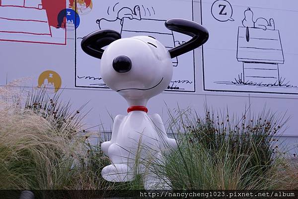 20180529.8 1970年代的Snoopy.JPG