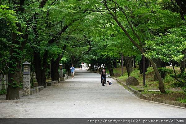 20180530.10 飛鳥山公園.JPG