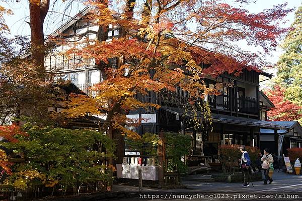 【日本東北】春櫻美、秋楓也美の角館