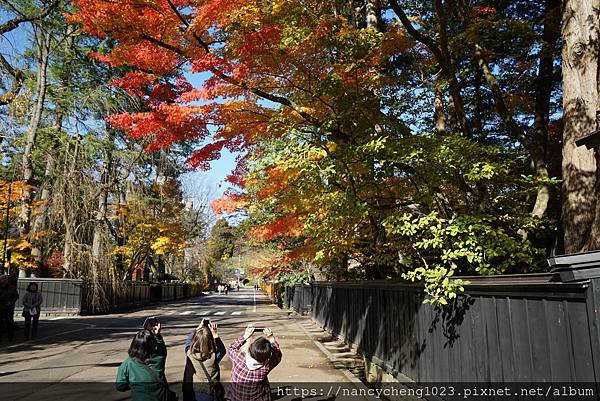 【日本東北】春櫻美、秋楓也美の角館