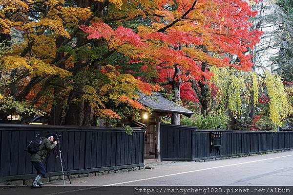 【日本東北】春櫻美、秋楓也美の角館