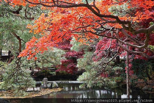 【日本東北】秋天の盛岡