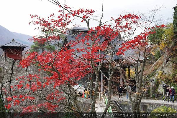 【日本東北】秋天楓紅の山寺