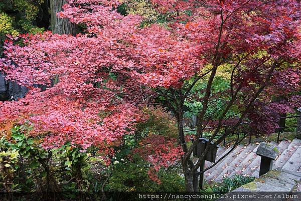 【日本東北】秋天楓紅の山寺