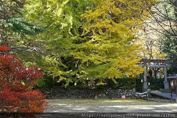 【日本東北】秋天楓紅の山寺