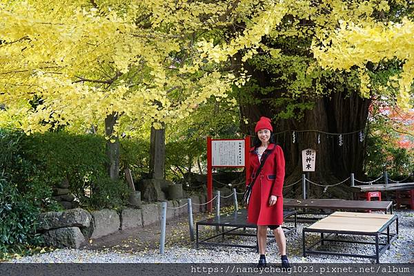 【日本東北】秋天楓紅の山寺