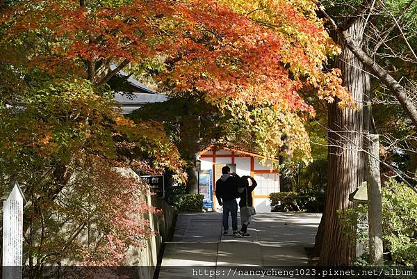 【日本東北】秋天楓紅の山寺