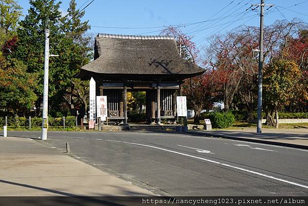 【日本東北】仙台散步２「藥師堂 ．311震災遺址． 定禪寺通