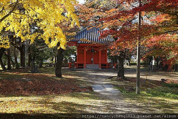 【日本東北】仙台散步２「藥師堂 ．311震災遺址． 定禪寺通