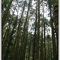 【宜蘭】宜蘭旅遊懶人包 / 宜蘭景點 美食 住宿 通通整理好