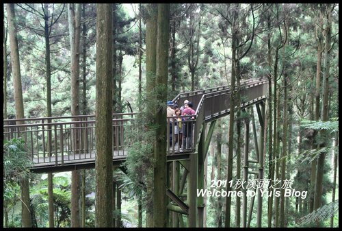 溪頭森林遊樂區