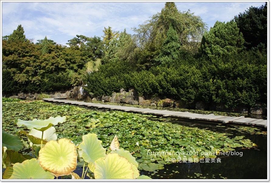 【京畿道坡州】碧草池文化樹木園 / 馬成的喜悅 龍八夷 她很