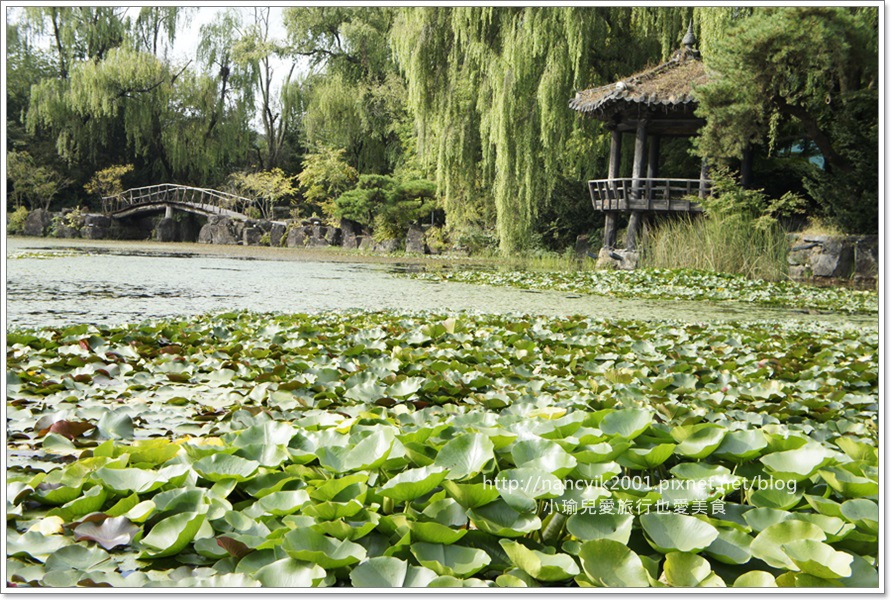 【京畿道坡州】碧草池文化樹木園 / 馬成的喜悅 龍八夷 她很