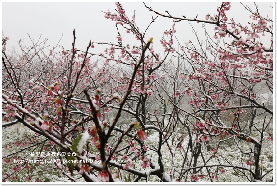 20160124平等里下雪了