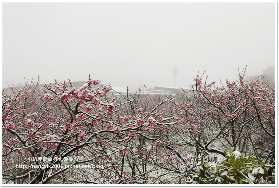 20160124平等里下雪了