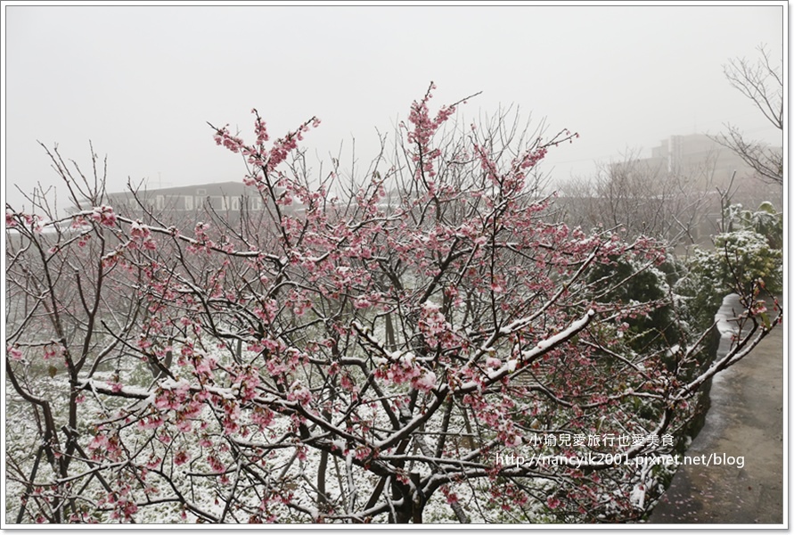 20160124平等里下雪了