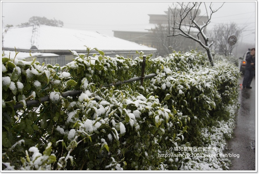 20160124平等里下雪了