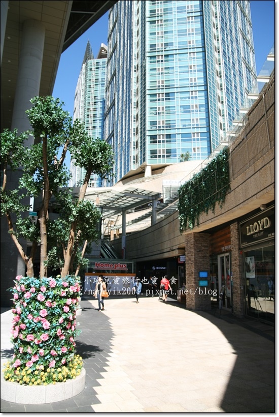 IMG_5178.JPG IMG_5178.JPG