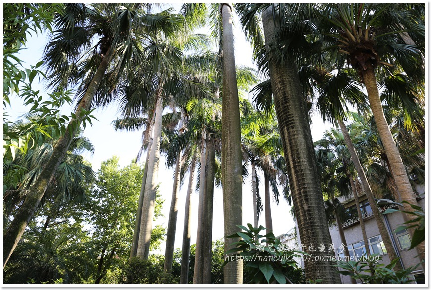 IMG_6240.JPG IMG_6240.JPG