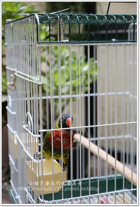 IMG_6269.JPG IMG_6269.JPG