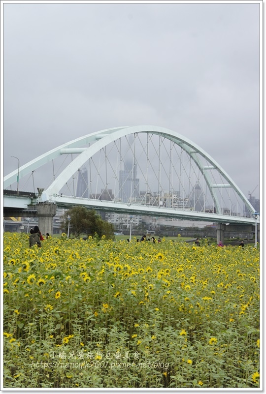 _DSC8742.JPG _DSC8742.JPG