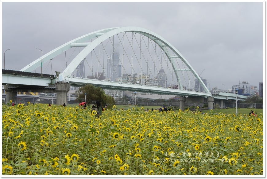 _DSC8743.JPG _DSC8743.JPG