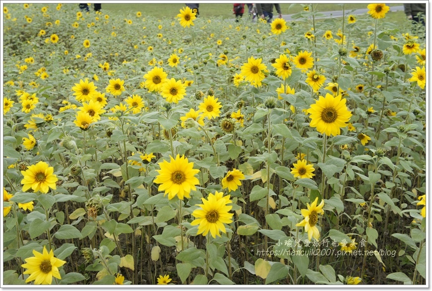 _DSC8744.JPG _DSC8744.JPG