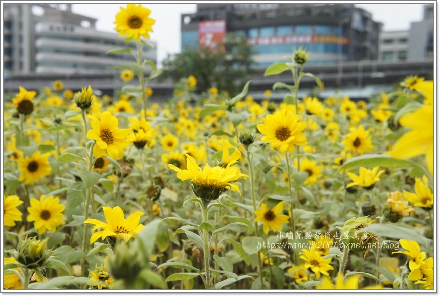 _DSC8749.JPG _DSC8749.JPG