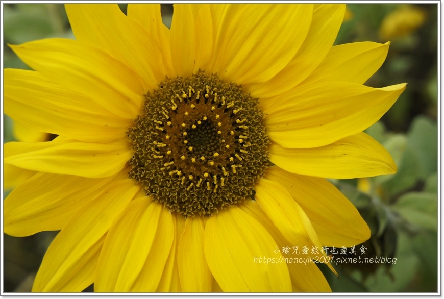 _DSC8751.JPG _DSC8751.JPG