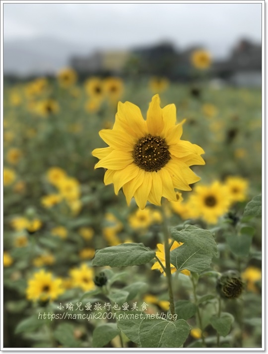 IMG_1229.JPG IMG_1229.JPG