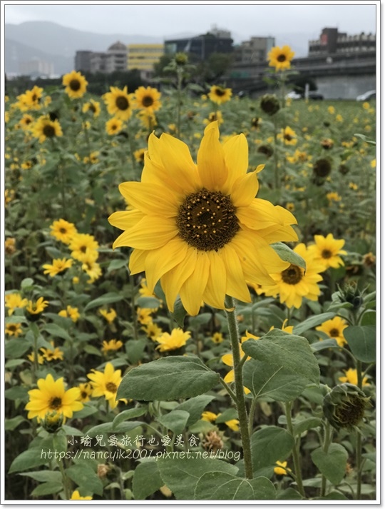 IMG_1226.JPG IMG_1226.JPG