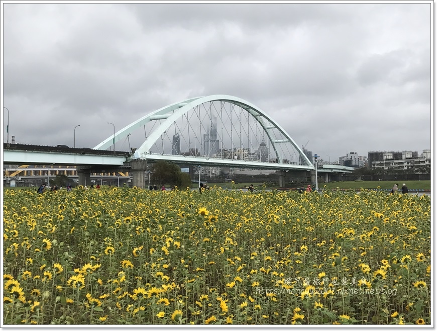 IMG_1236.JPG IMG_1236.JPG