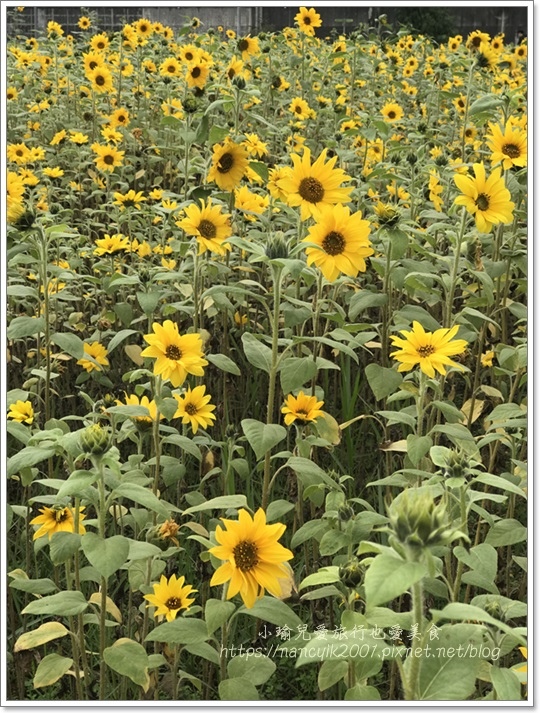 IMG_1237.JPG IMG_1237.JPG